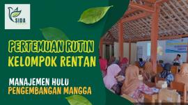 Pertemuan Rutin Kelompok Rentan Bahas Manajemen Hulu Pengembangan Mangga